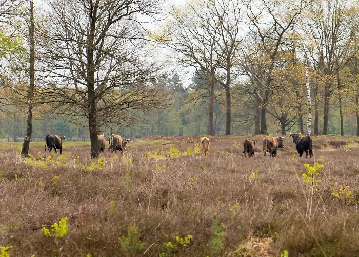 Fletcher Hotel-restaurant 4*